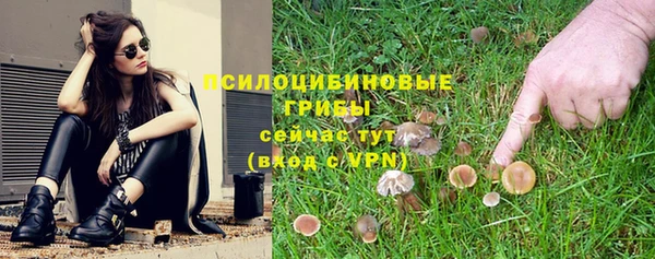 дживик Алзамай