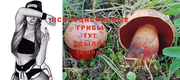 дживик Алзамай