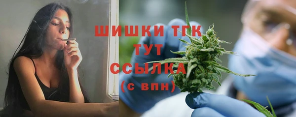 сатива Алексеевка
