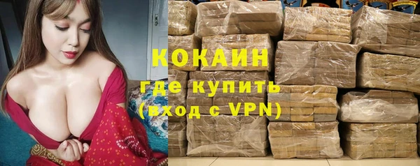 дживик Алзамай