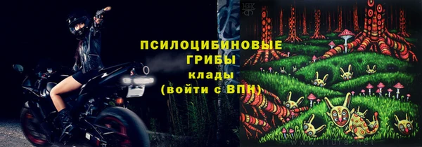 дживик Алзамай