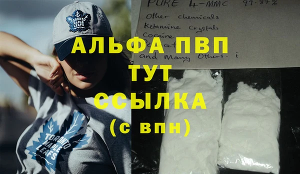 сатива Алексеевка
