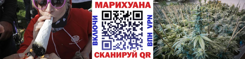 закладки  Петровск-Забайкальский  кракен маркетплейс  Бошки Шишки марихуана 